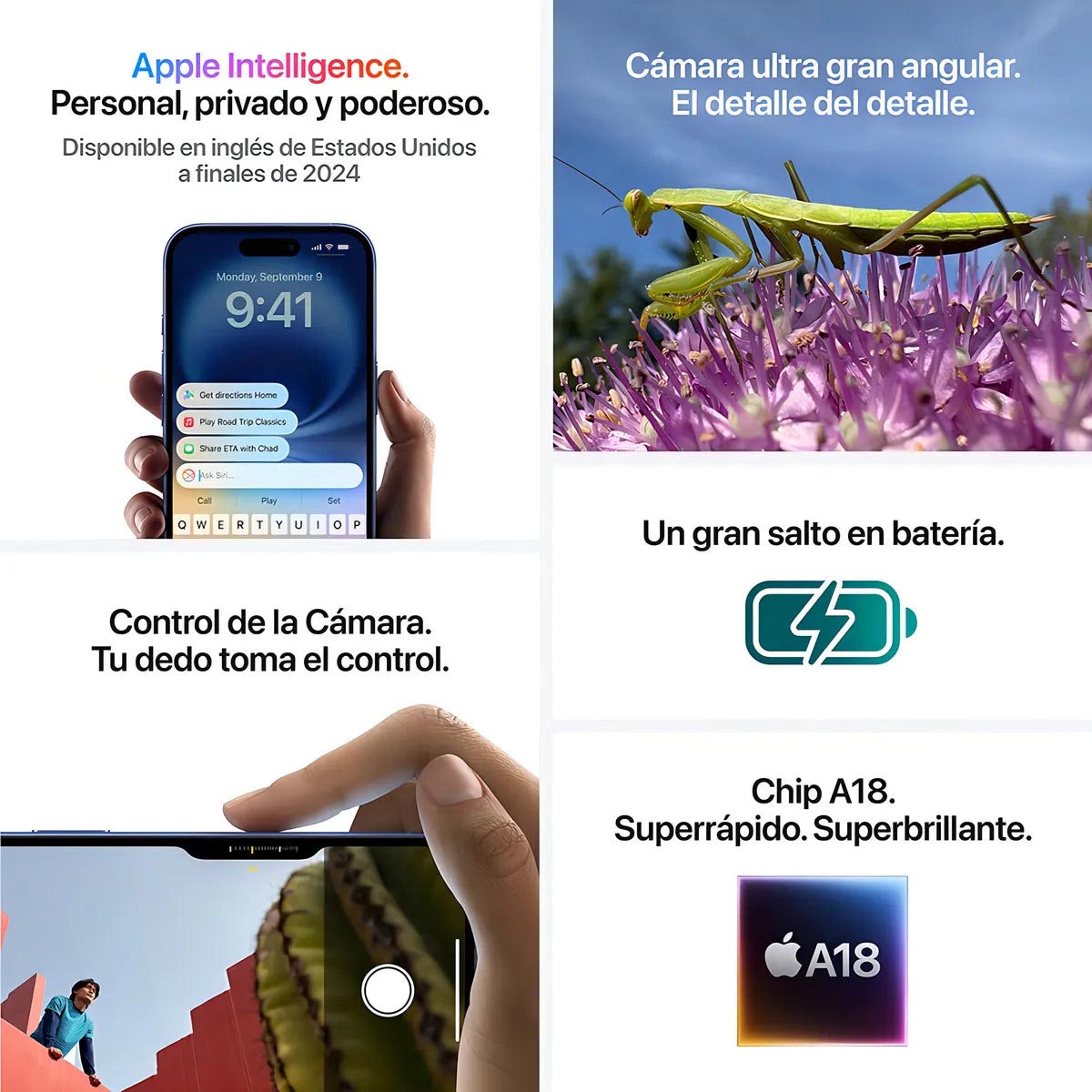 iPhone 16 Plus