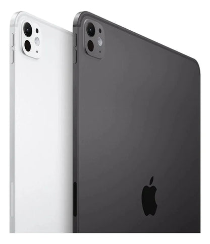 iPad Pro M4 Wi-Fi 11 Pulgadas