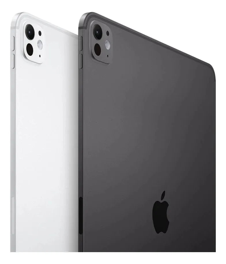 iPad Pro M4 Wi-Fi 11 Pulgadas