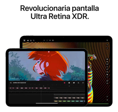 iPad Pro M4 Wi-Fi 11 Pulgadas
